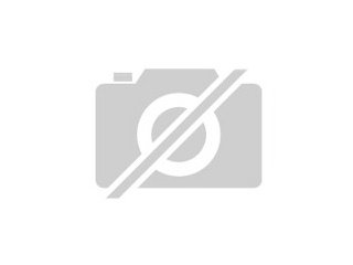 3 zuckersüße schwarzgetigerte Katzenbaby s Kätzchen geb. 28. 07. 15